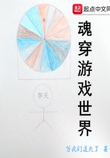 魂穿游戏世界