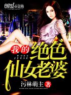 小说苏夕月叶辰