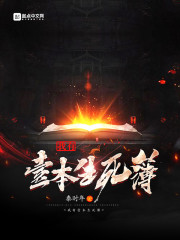 林风丁婉儿