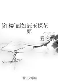 [红楼]面如冠玉探花郎