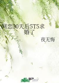 网恋30天后5T5求婚了