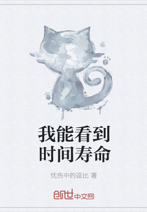 我能看到时间寿命