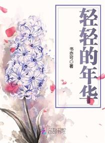 轻轻的年华